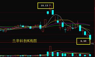 揭秘蘭花科技(600123)下跌原因 主力陰謀與信息技術咨詢服務行業動態